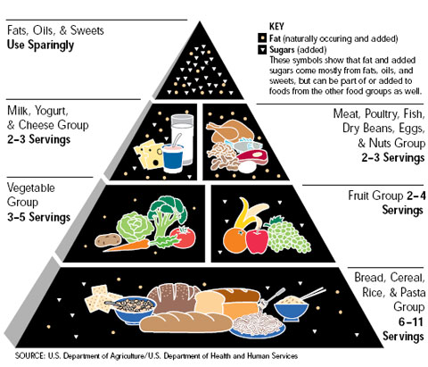 food pyramid for kids. 1990#39;s - The Four Food Groups